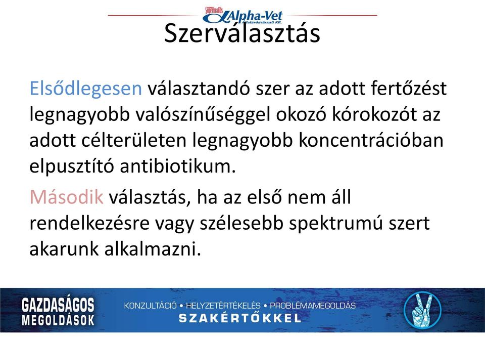 legnagyobb koncentrációban elpusztító antibiotikum.