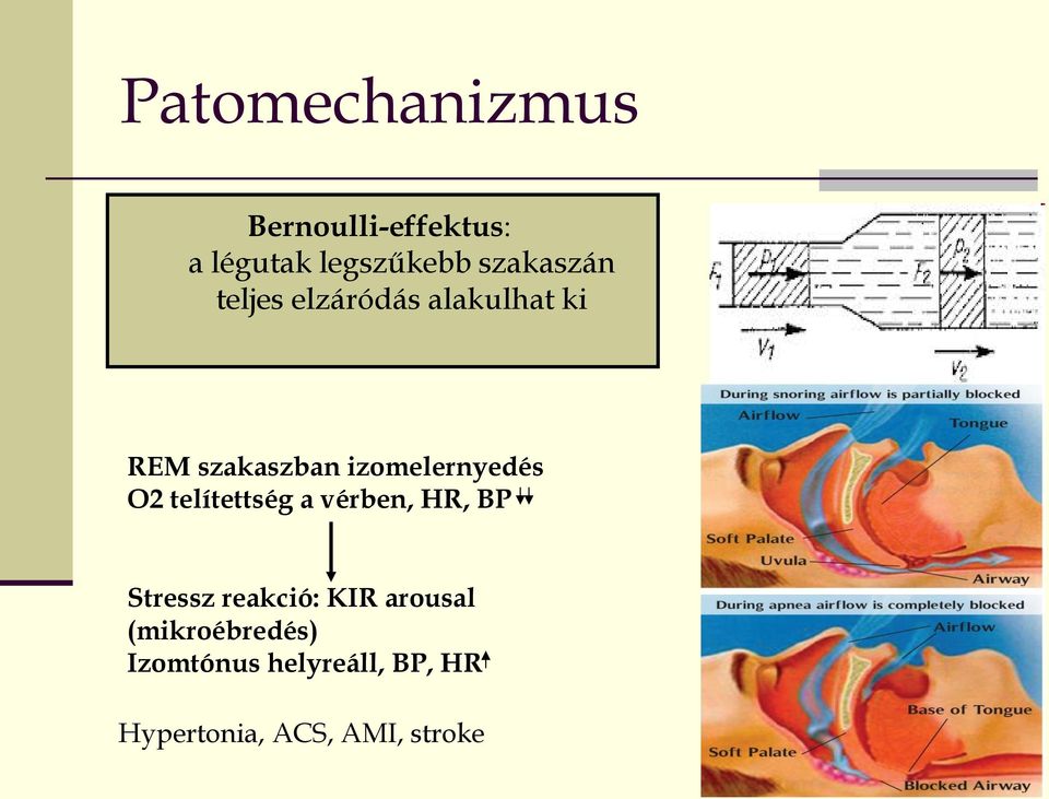 izomelernyedés O2 telítettség a vérben, HR, BP Stressz reakció: