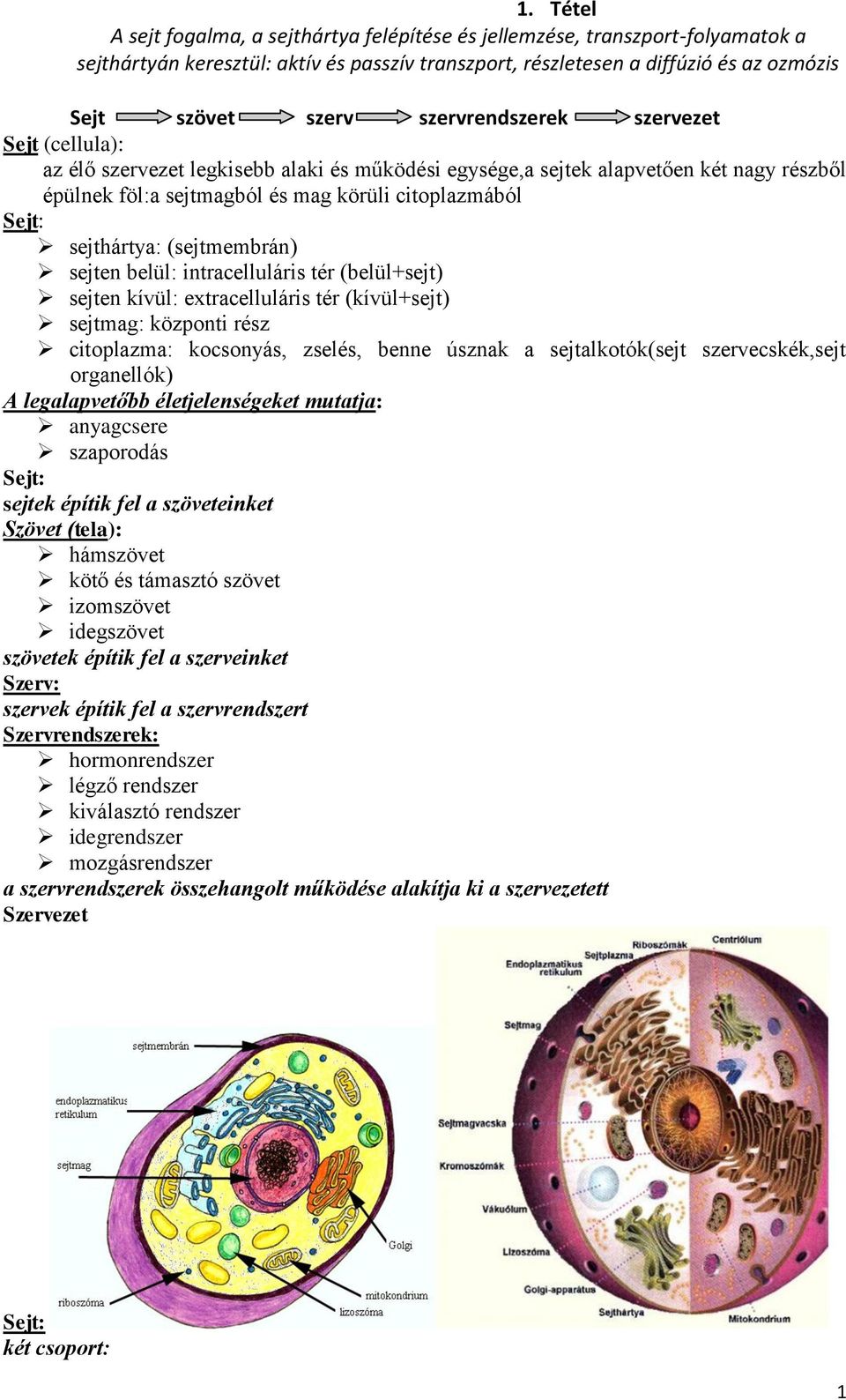 1. Tétel Sejt szövet szerv szervrendszerek szervezet Sejt Sejt A  legalapvetőbb életjelenségeket mutatja: - PDF Free Download