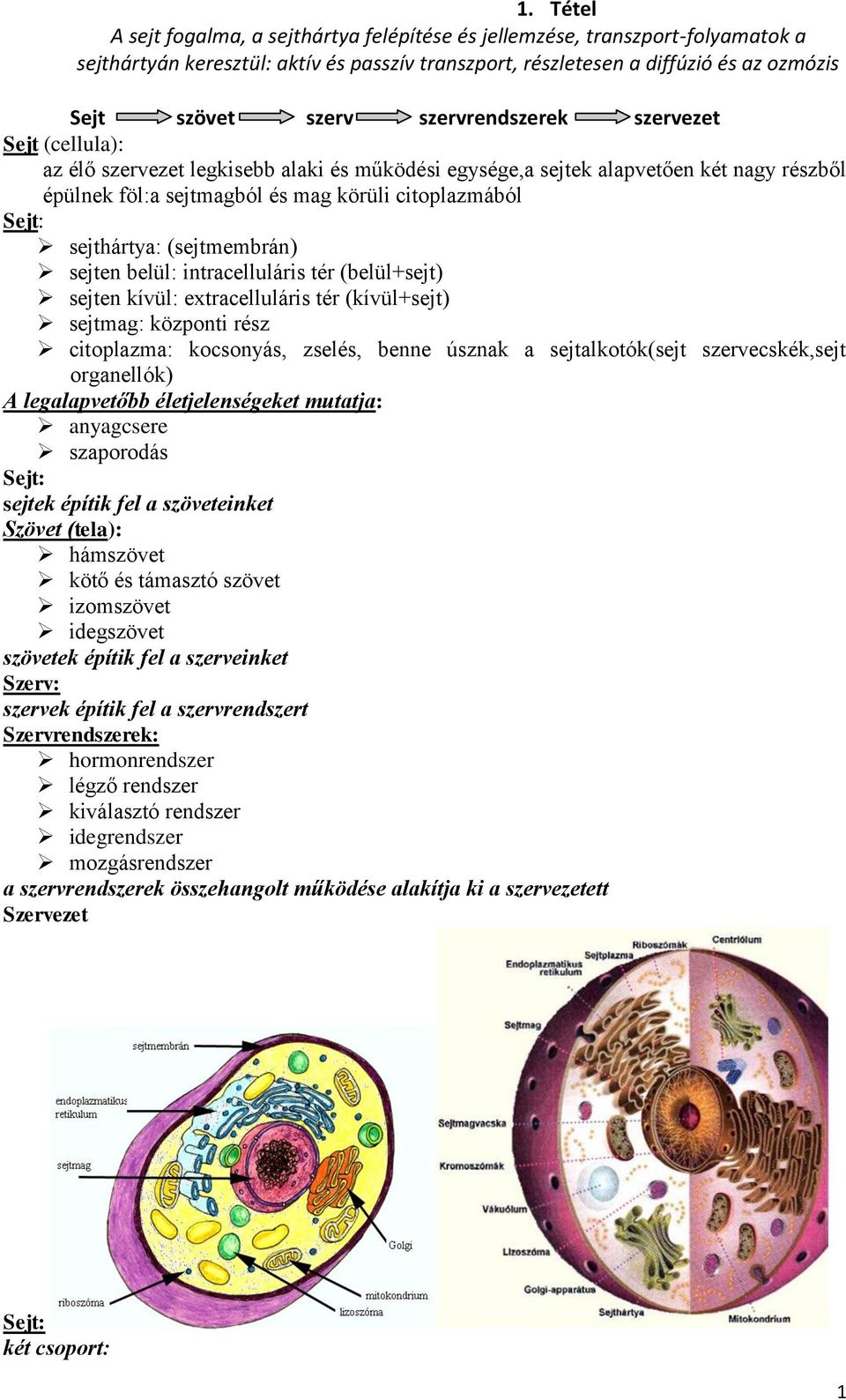 Sejt szövet szerv szervrendszer szervezet