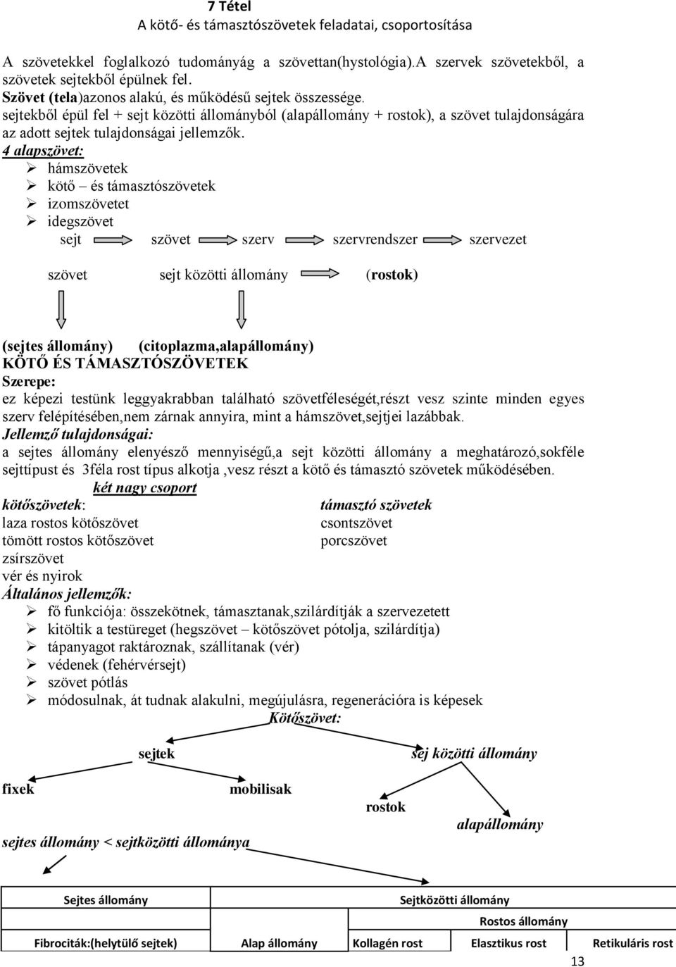 4 alapszövet: hámszövetek kötő és támasztószövetek izomszövetet idegszövet sejt szövet szerv szervrendszer szervezet szövet sejt közötti állomány (rostok) (sejtes állomány) (citoplazma,alapállomány)