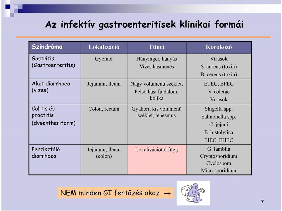 kólika Gyakori, kis volumenű széklet, tenesmus Vírusok S. aureus (toxin) B. cereus (toxin) ETEC, EPEC V. colerae Vírusok Shigella spp. Salmonella spp. C.