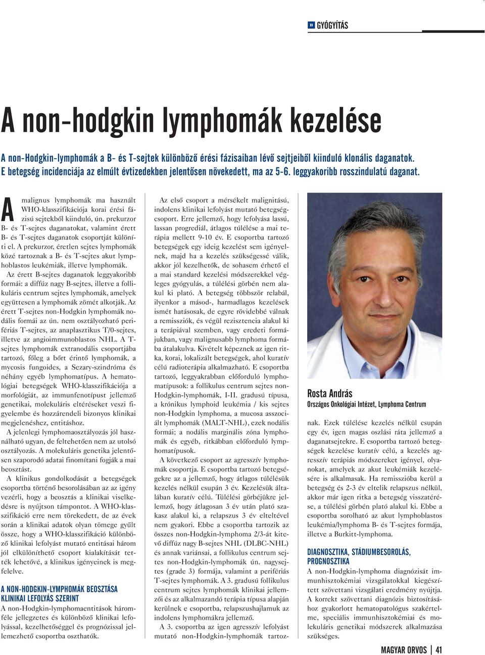 A malignus lymphomák ma használt WHO-klasszifikációja korai érési fázisú sejtekből kiinduló, ún. prekurzor B- és T-sejtes daganatokat, valamint érett B- és T-sejtes daganatok csoportját különíti el.