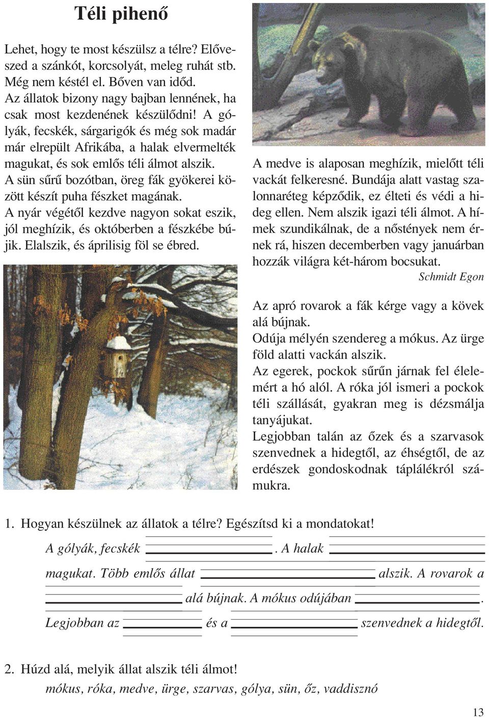A gólyák, fecskék, sárgarigók és még sok madár már elrepült Afrikába, a halak elvermelték magukat, és sok emlôs téli álmot alszik.