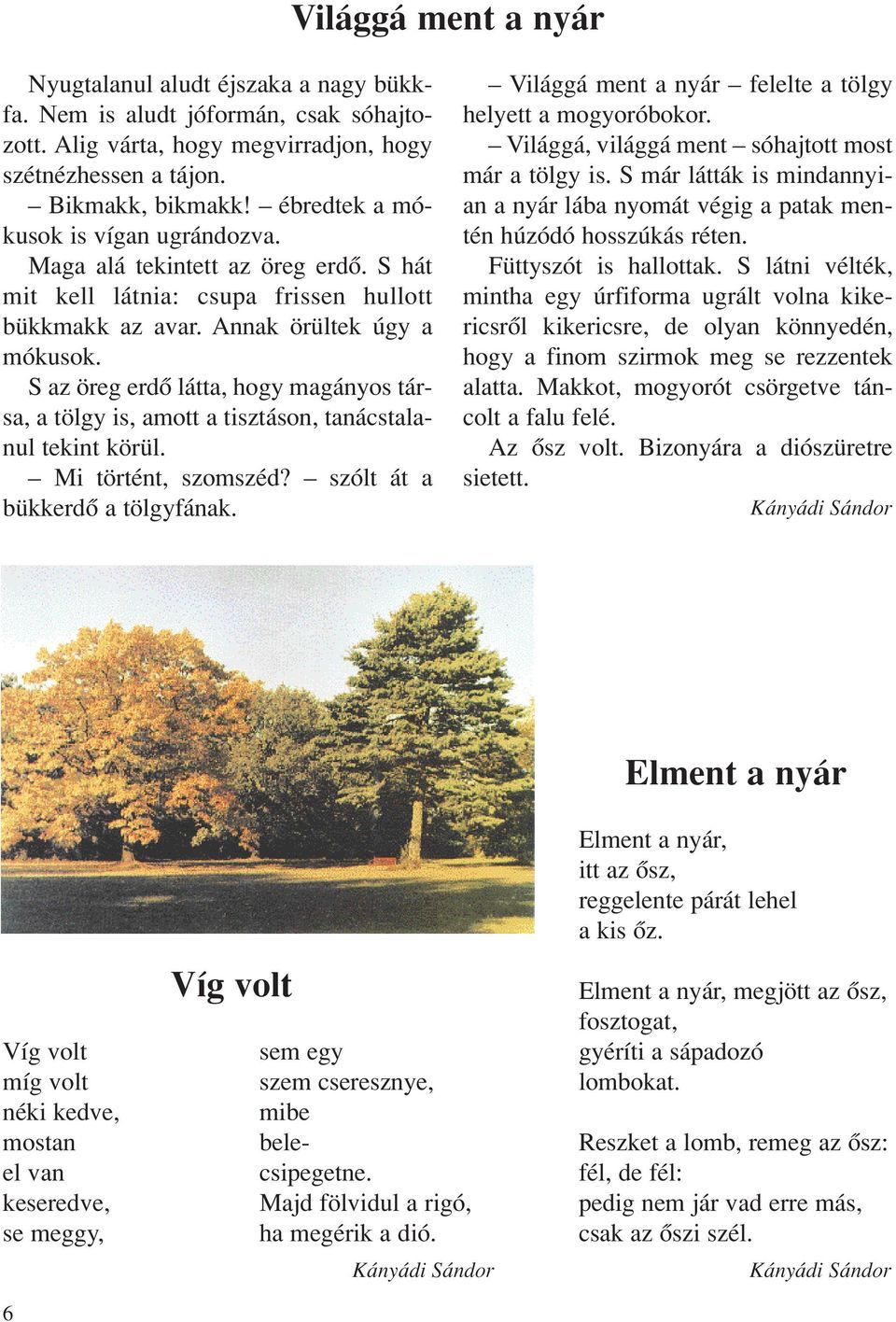 S az öreg erdô látta, hogy magányos társa, a tölgy is, amott a tisztáson, tanácstalanul tekint körül. Mi történt, szomszéd? szólt át a bükkerdô a tölgyfának.