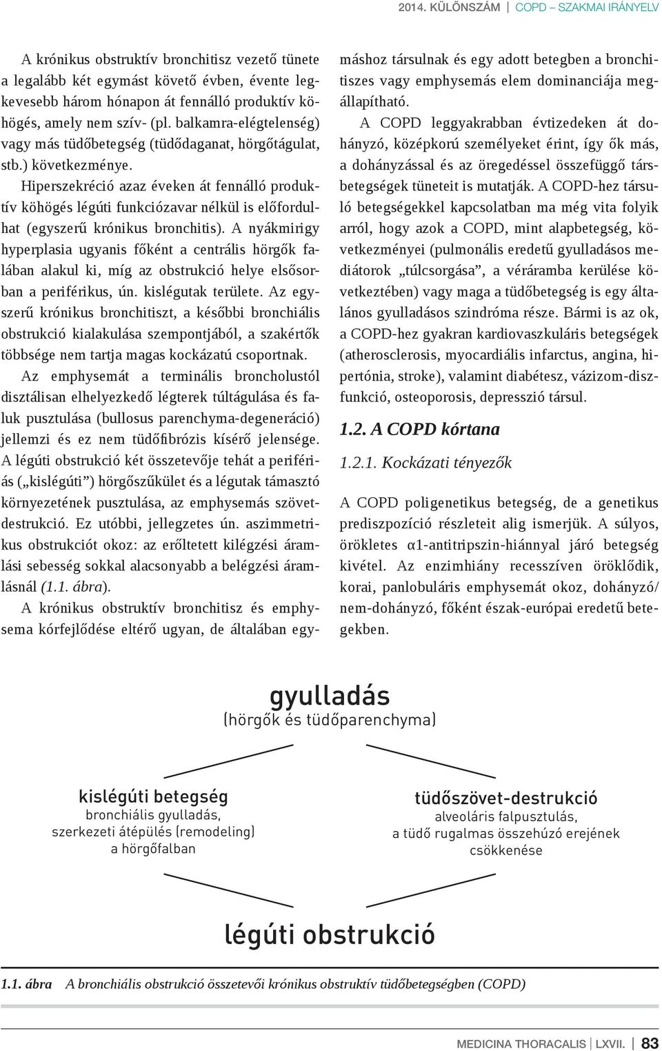 Hiperszekréció azaz éveken át fennálló produktív köhögés légúti funkciózavar nélkül is előfordulhat (egyszerű krónikus bronchitis).