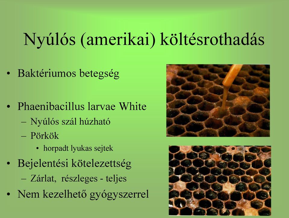 húzható Pörkök horpadt lyukas sejtek Bejelentési