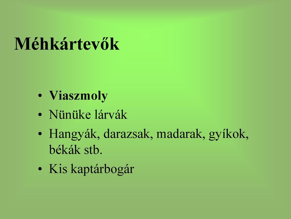darazsak, madarak,