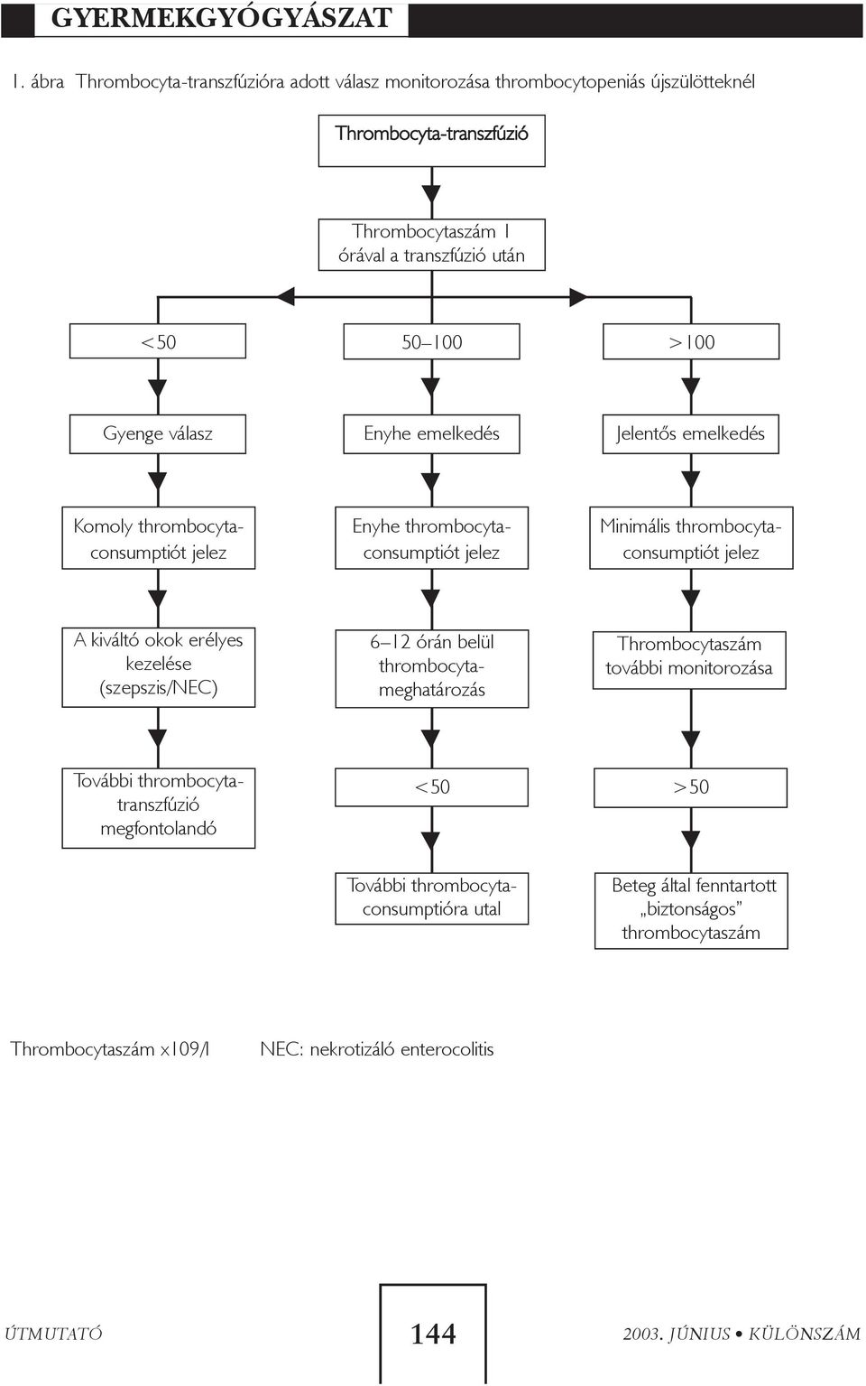 kiváltó okok erélyes kezelése (szepszis/nec) 6 12 órán belül thrombocytameghatározás Thrombocytaszám további monitorozása További thrombocytatranszfúzió megfontolandó <50