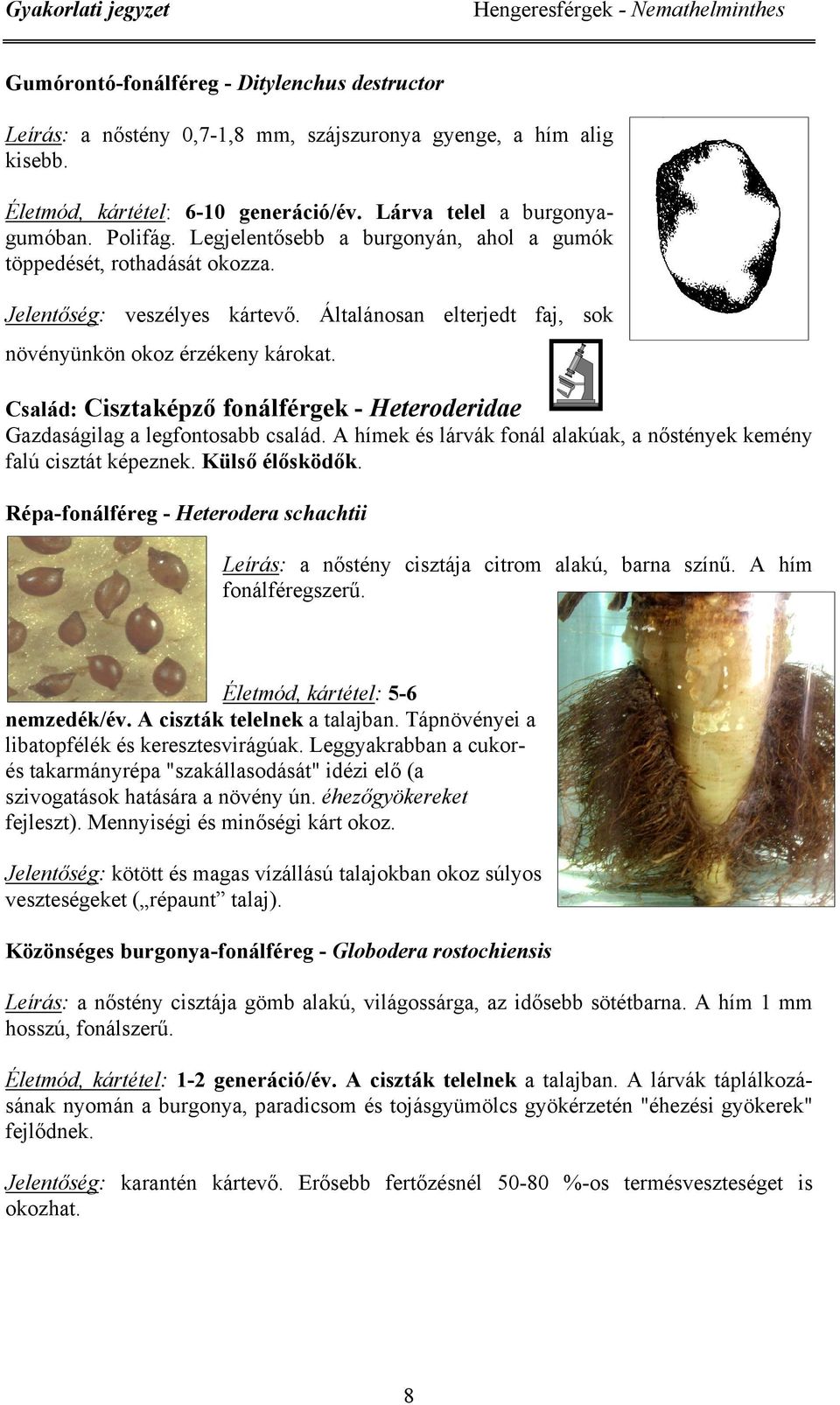 Általánosan elterjedt faj, sok növényünkön okoz érzékeny károkat. Család: Cisztaképző fonálférgek - Heteroderidae Gazdaságilag a legfontosabb család.