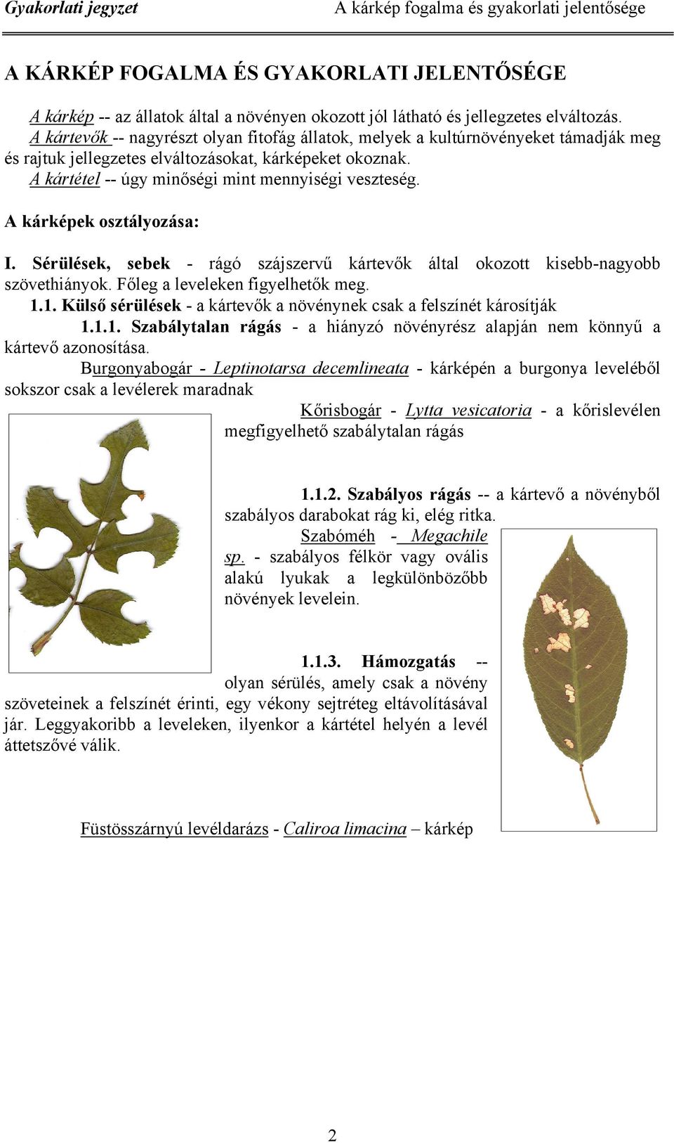 A kárképek osztályozása:. Sérülések, sebek - rágó szájszervű kártevők által okozott kisebb-nagyobb szövethiányok. Főleg a leveleken figyelhetők meg. 1.