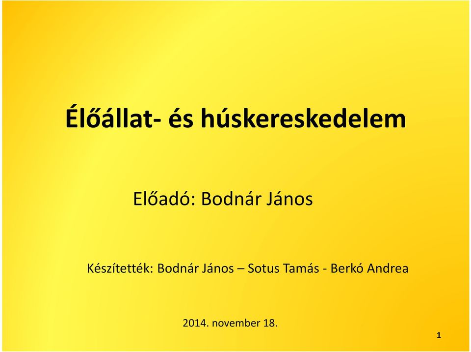 Készítették: Bodnár János