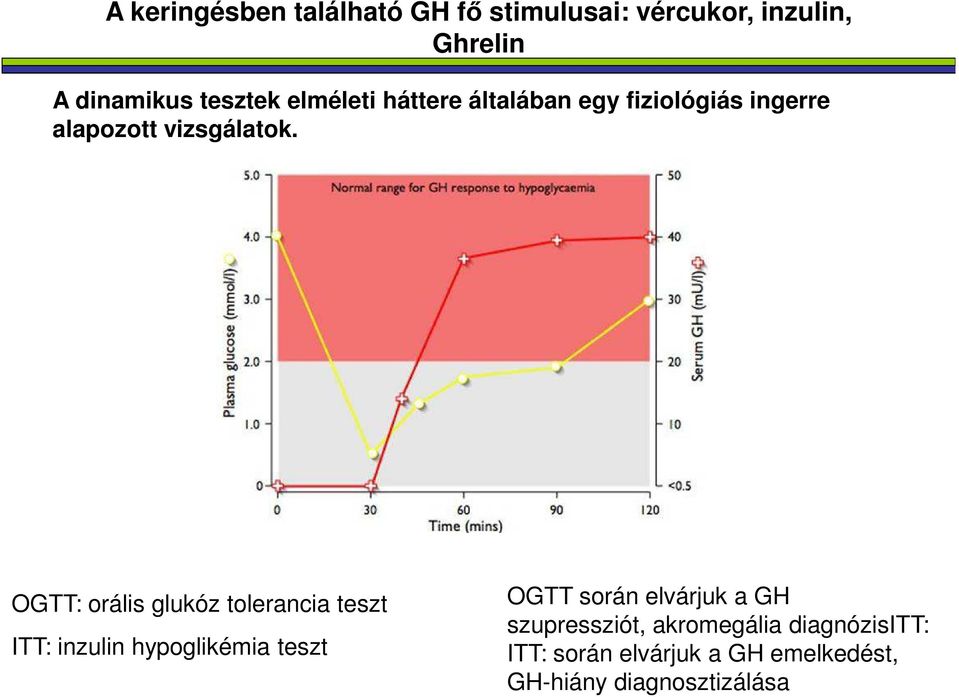 OGTT: orális glukóz tolerancia teszt ITT: inzulin hypoglikémia teszt OGTT során elvárjuk