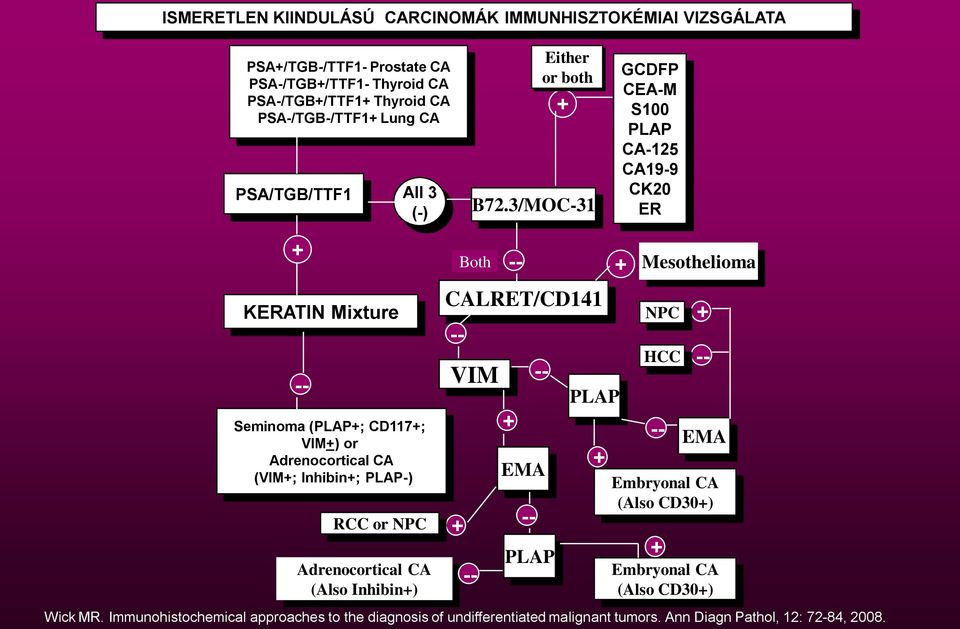3/MOC-31 GCDFP CEA-M S100 PLAP CA-125 CA19-9 CK20 ER + KERATIN Mixture -- Seminoma (PLAP+; CD117+; VIM+) or Adrenocortical CA (VIM+; Inhibin+; PLAP-) RCC or NPC