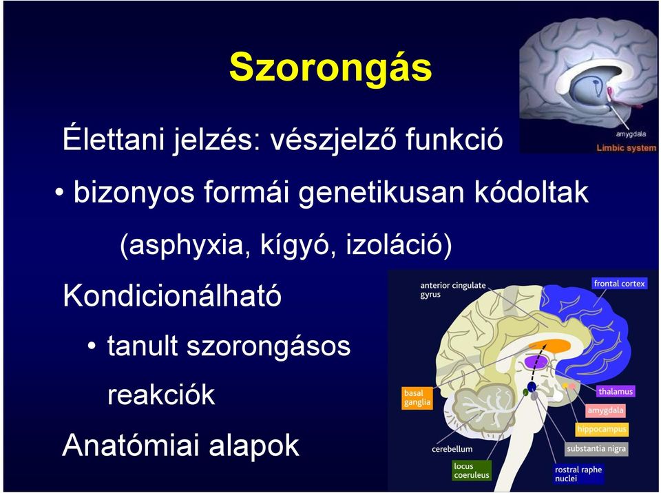 kódoltak (asphyxia, kígyó, izoláció)