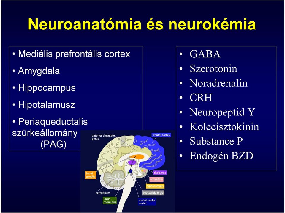 Periaqueductalis szürkeállomány (PAG) GABA Szerotonin