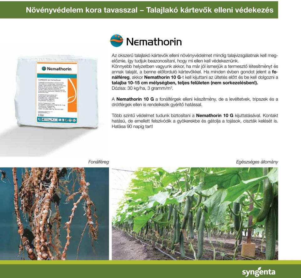 Ha minden évben gondot jelent a fonál féreg, akkor Nemathorin 10 G-t kell kijuttani az ültetés elôtt és be kell dolgozni a ta lajba 10-15 cm mélységben, teljes felületen (nem sorkezelésben!).