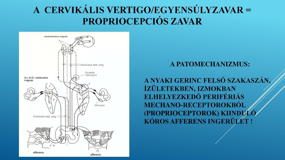 ÍZÜLETEKBEN, IZMOKBAN ELHELYEZKEDŐ PERIFÉRIÁS