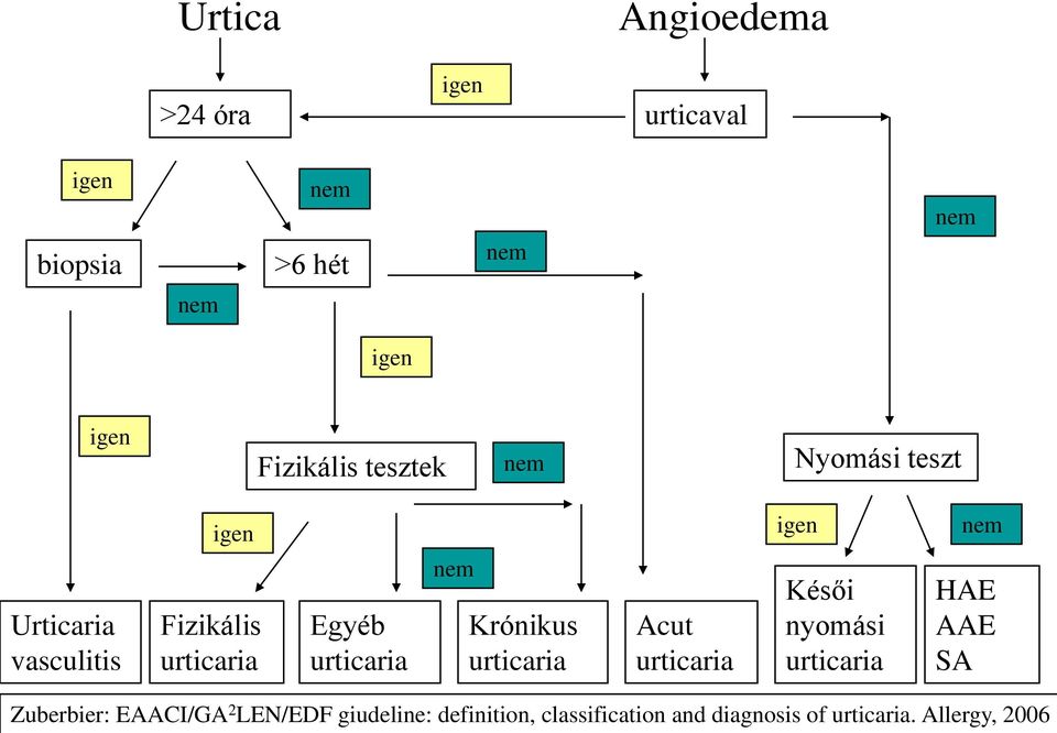 Egyéb urticaria nem Krónikus urticaria Acut urticaria Késői nyomási urticaria HAE AAE SA