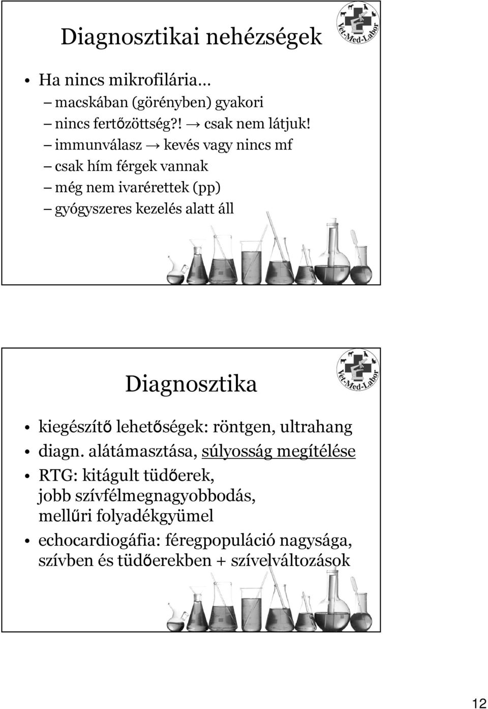 Diagnosztika kiegészítő lehetőségek: röntgen, ultrahang diagn.