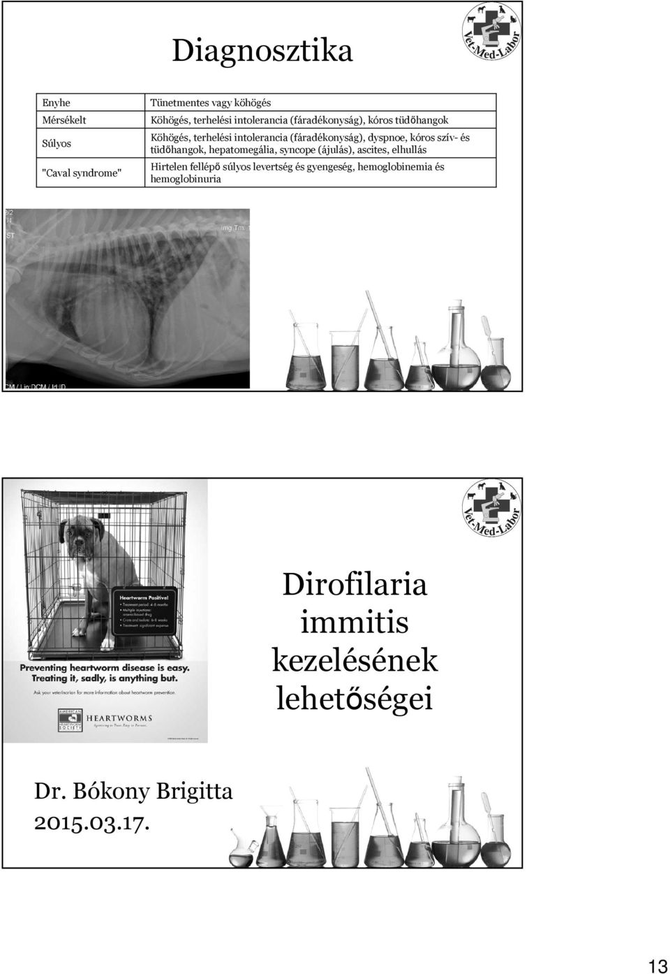 tüdőhangok, hepatomegália, syncope (ájulás), ascites, elhullás Hirtelen fellépő súlyos levertség és