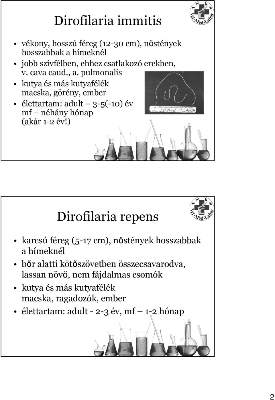 pulmonalis kutya és más kutyafélék macska, görény, ember élettartam: adult 3-5(-10) év mf néhány hónap (akár 1-2 év!