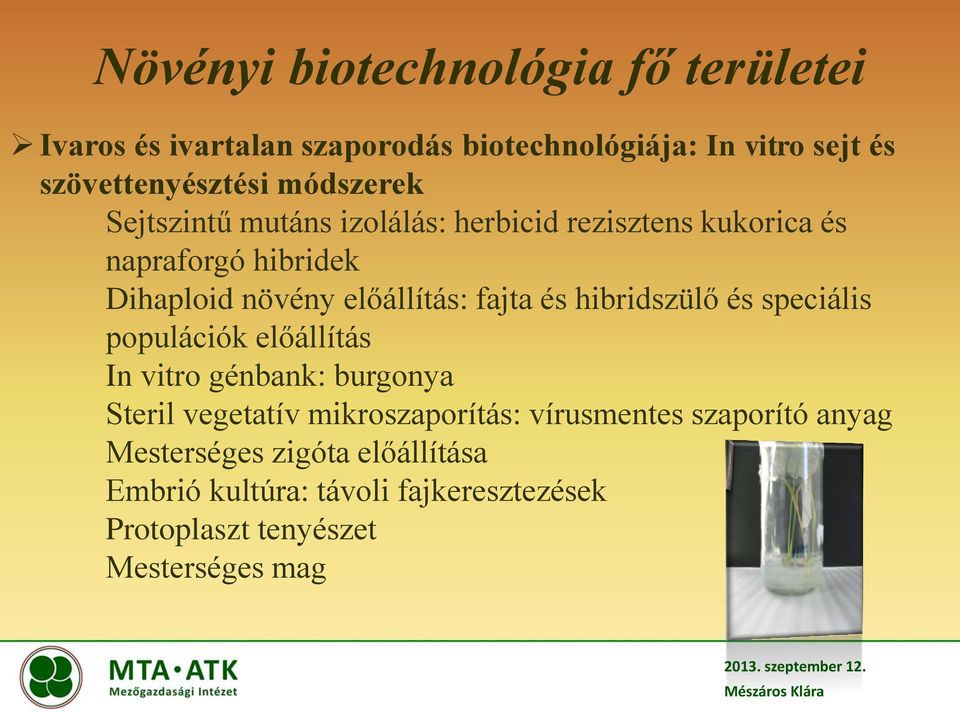 fajta és hibridszülő és speciális populációk előállítás In vitro génbank: burgonya Steril vegetatív mikroszaporítás: