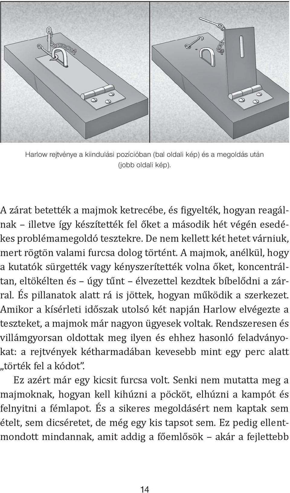 (bal oldali kép) és a
