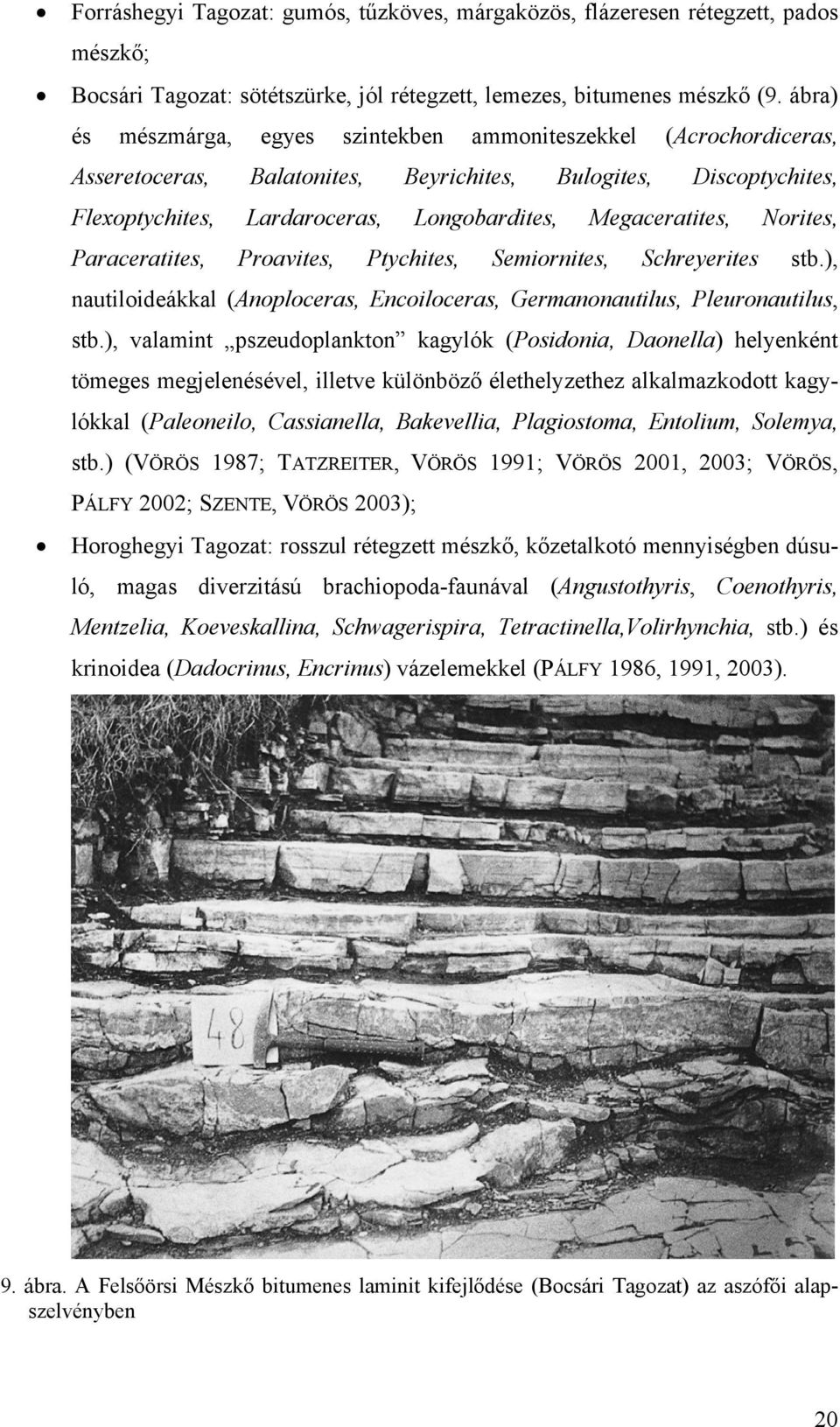 Norites, Paraceratites, Proavites, Ptychites, Semiornites, Schreyerites stb.), nautiloideákkal (Anoploceras, Encoiloceras, Germanonautilus, Pleuronautilus, stb.