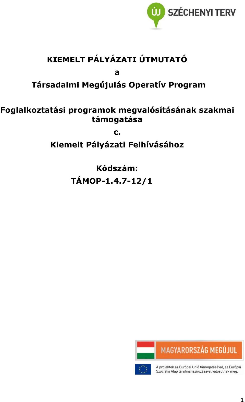 programok megvalósításának szakmai támogatása c.