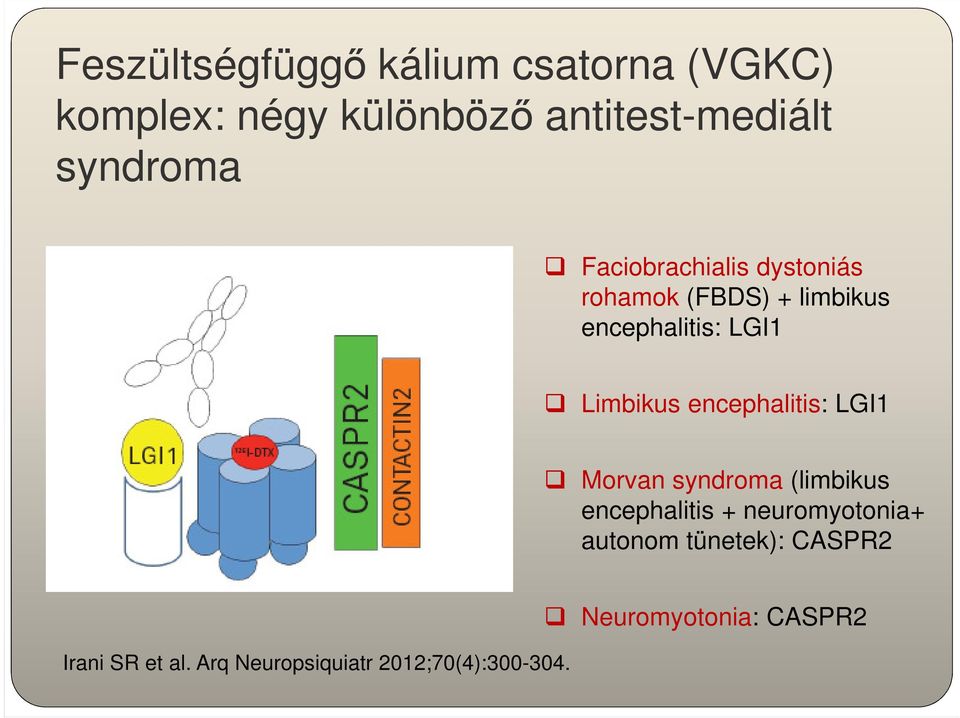 Limbikus encephalitis: LGI1 Morvan syndroma (limbikus encephalitis + neuromyotonia+