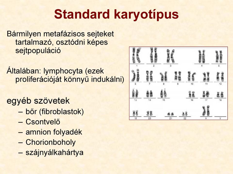 lymphocyta (ezek proliferációját könnyű indukálni) egyéb