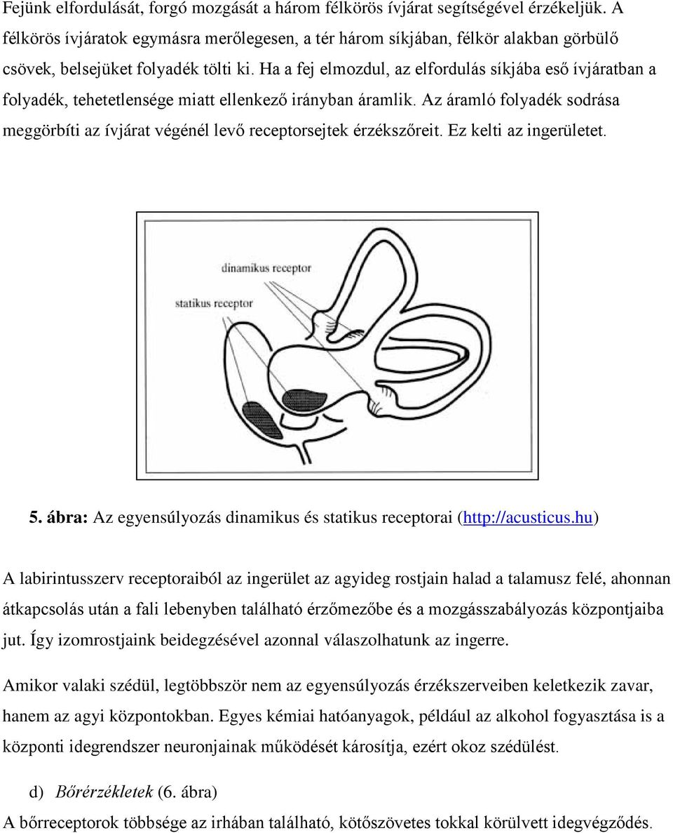 Ha a fej elmozdul, az elfordulás síkjába eső ívjáratban a folyadék, tehetetlensége miatt ellenkező irányban áramlik.