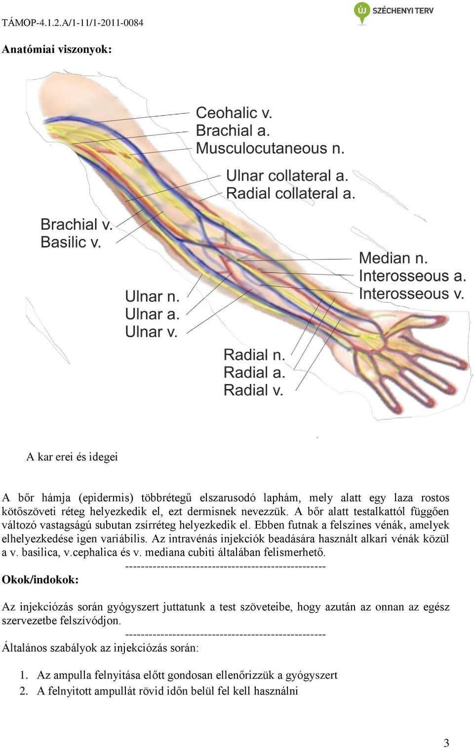 TÁMOP A/1-11/ - PDF Ingyenes letöltés