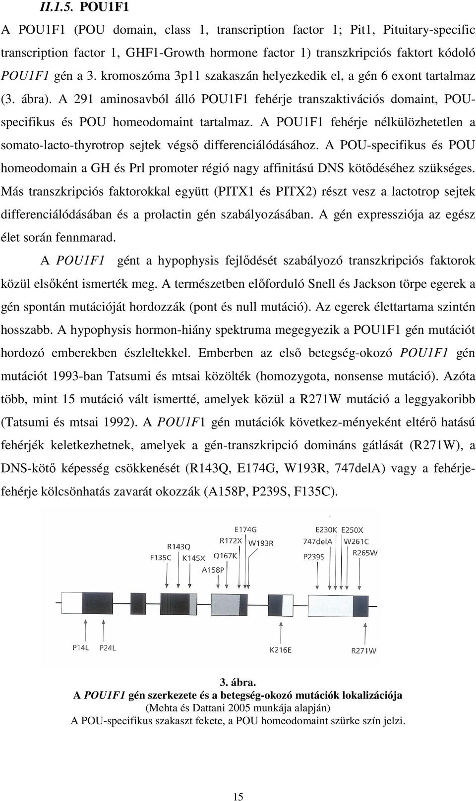 A POU1F1 fehérje nélkülözhetetlen a somato-lacto-thyrotrop sejtek végső differenciálódásához. A POU-specifikus és POU homeodomain a GH és Prl promoter régió nagy affinitású DNS kötődéséhez szükséges.