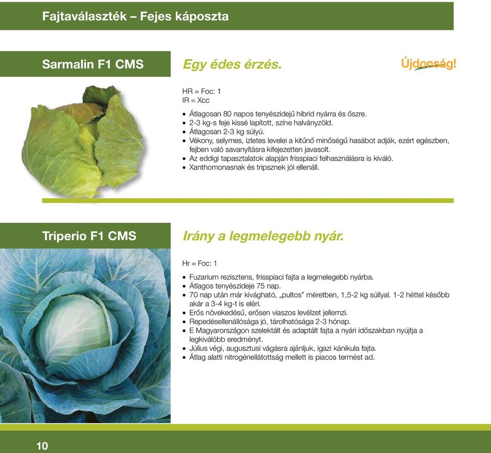 Az eddigi tapasztalatok alapján frisspiaci felhasználásra is kiváló. Xanthomonasnak és tripsznek jól ellenáll. Triperio F1 CMS Irány a legmelegebb nyár.