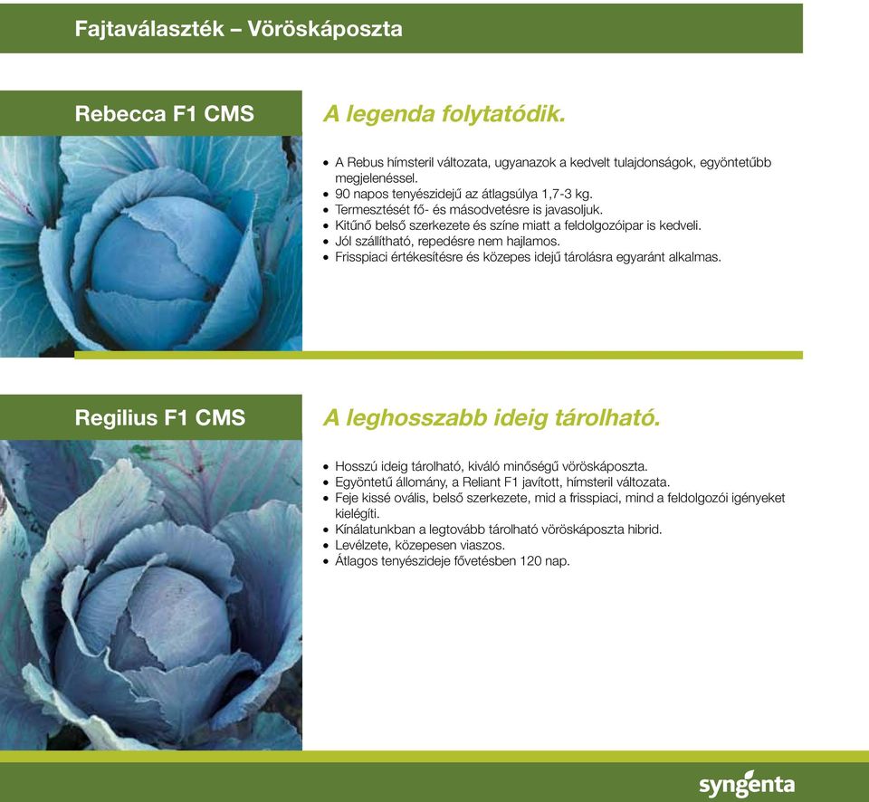 Frisspiaci értékesítésre és közepes idejû tárolásra egyaránt alkalmas. Regilius F1 CMS A leghosszabb ideig tárolható. Hosszú ideig tárolható, kiváló minôségû vöröskáposzta.