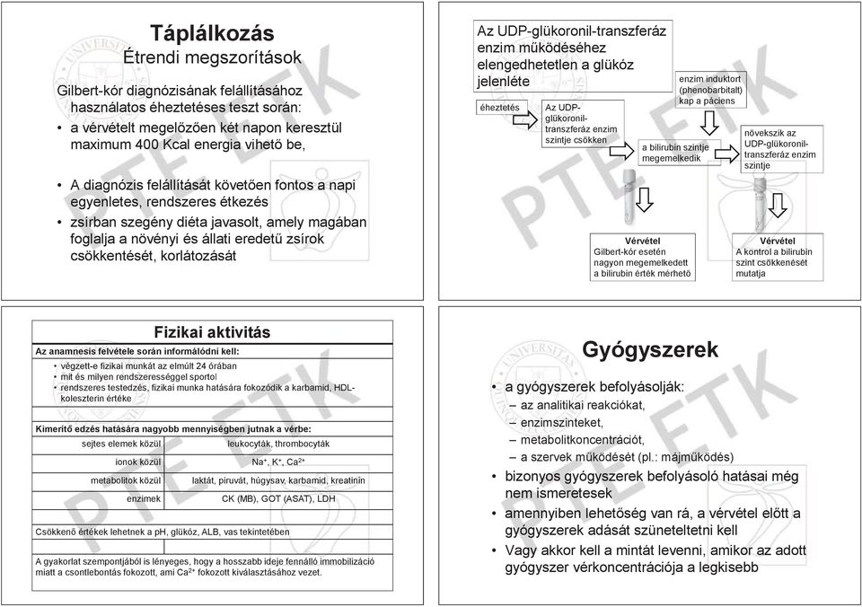 UDP-glükoronil-transzferáz enzim m ködéséhez elengedhetetlen a glükóz jelenléte éheztetés tés Az UDPglükoronil- oniltranszferáz enzim szintje csökken ken enzim induktort (phenobarbitalt) kap a