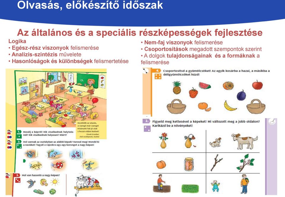 Hasonlóságok és különbségek felismertetése Nem-faj viszonyok felismerése