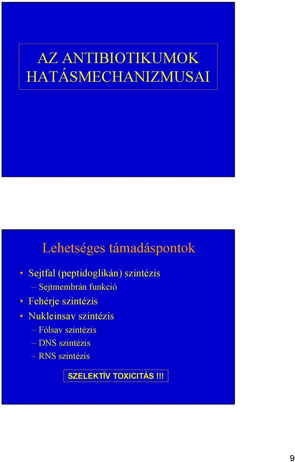 Sejtmembrán funkció Fehérje szintézis Nukleinsav