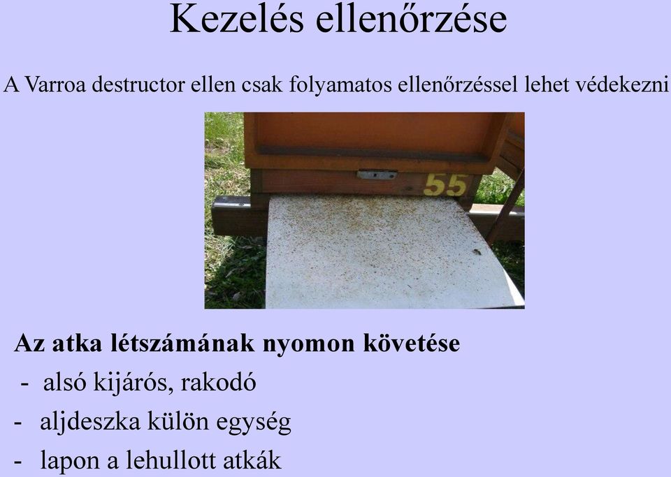 létszámának nyomon követése - alsó kijárós, rakodó