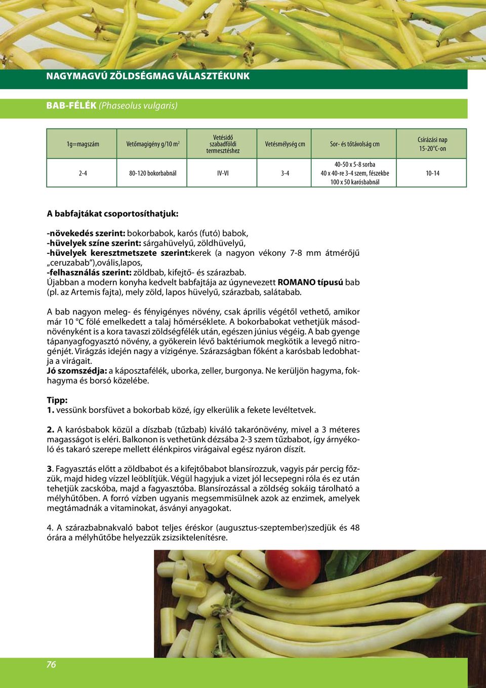 szabadföldi termesztéshez - PDF Ingyenes letöltés