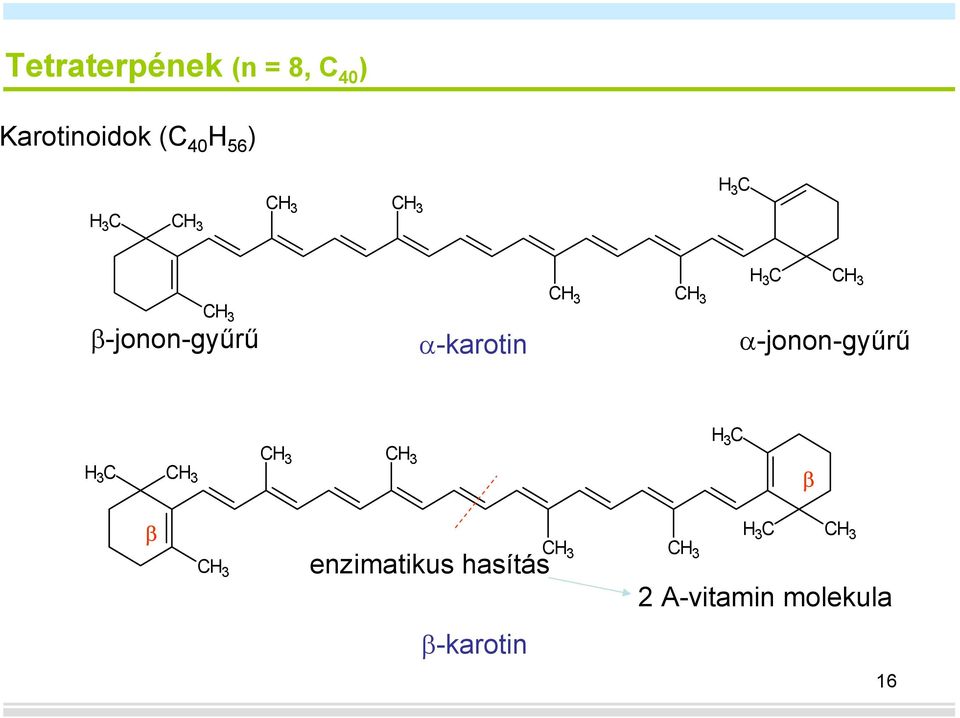 α-karotin α-jonon-gyűrű 3 C 3 C β β