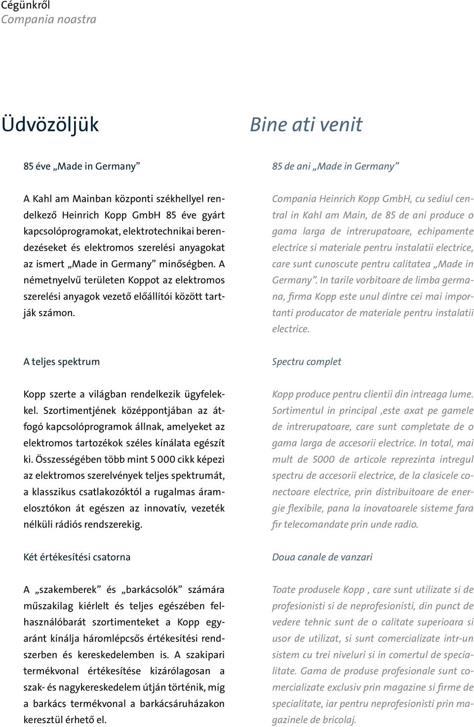 A németnyelvű területen Koppot az elektromos szerelési anyagok vezető előállítói között tartják számon.