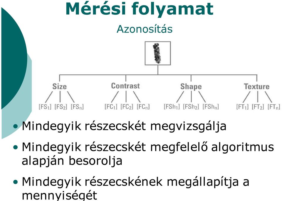 részecskét megfelelő algoritmus alapján