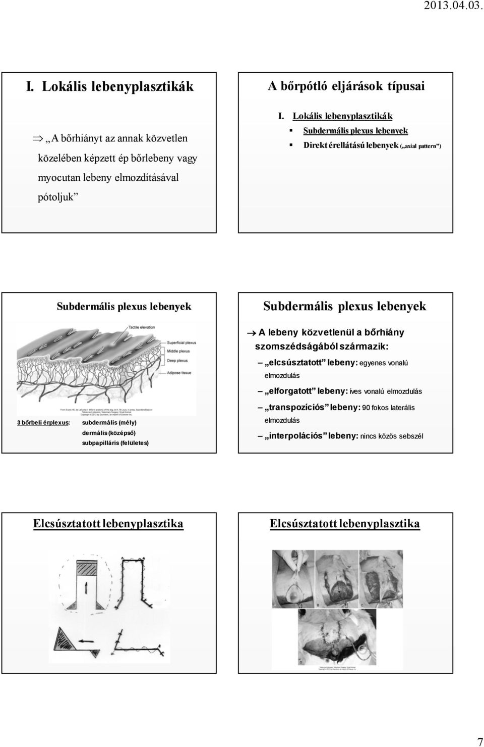 lebenyek Subdermális plexus lebenyek A lebeny közvetlenül a bőrhiány szomszédságából származik: elcsúsztatott lebeny: egyenes vonalú elmozdulás elforgatott