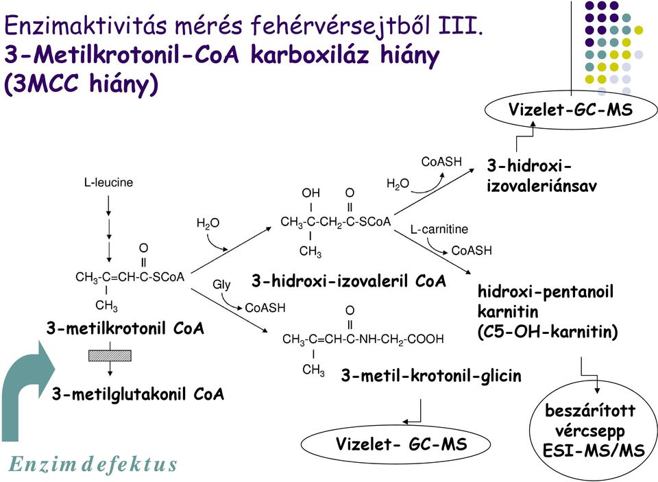 izovaleriánsav 3-metilkrotonil CoA 3-hidroxi-izovaleril CoA hidroxi-pentanoil