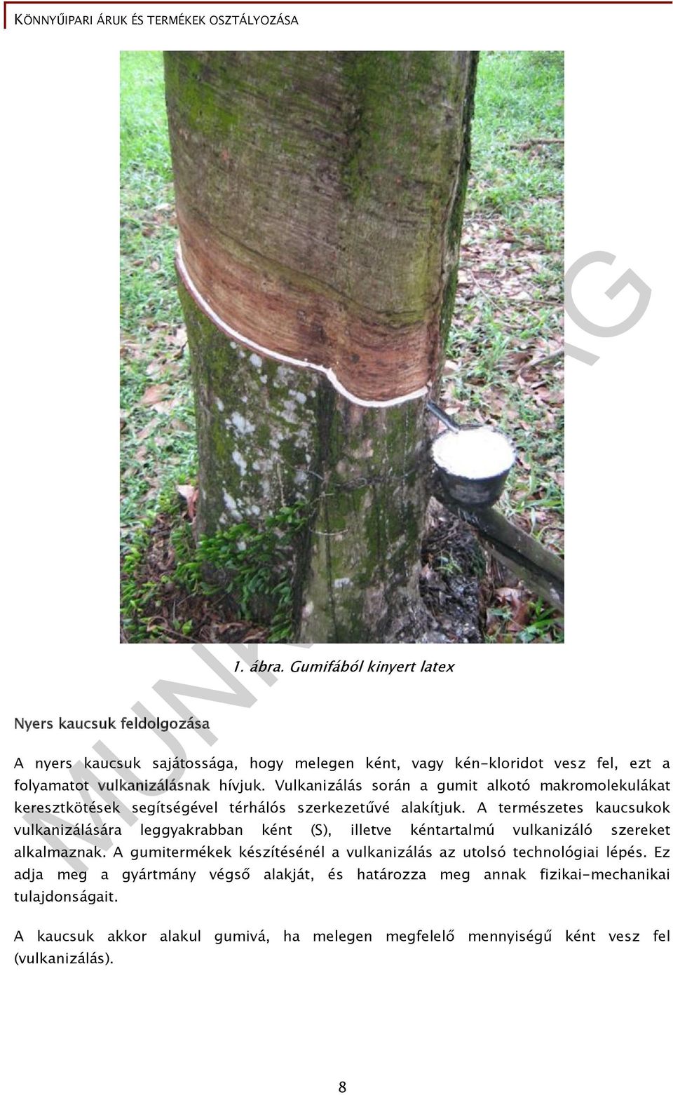 Vulkanizálás során a gumit alkotó makromolekulákat keresztkötések segítségével térhálós szerkezetűvé alakítjuk.