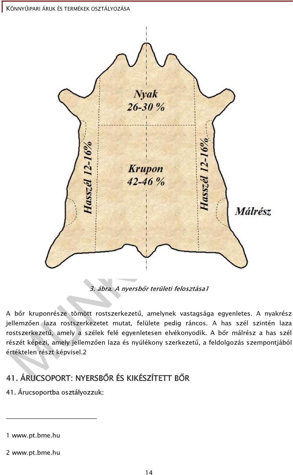 A has szél szintén laza rostszerkezetű, amely a szélek felé egyenletesen elvékonyodik.
