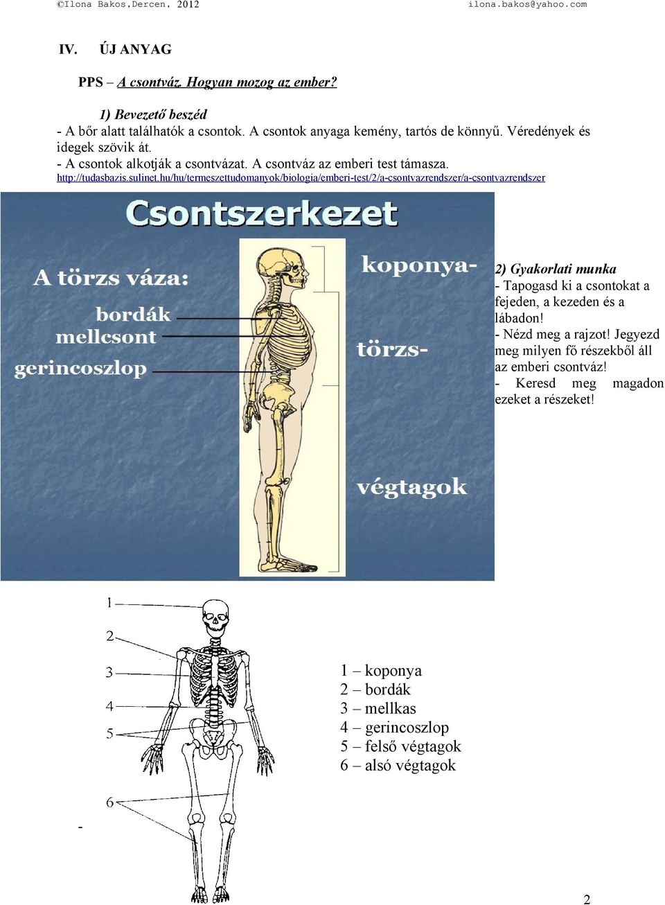 hu/hu/termeszettudomanyok/biologia/emberi-test/2/a-csontvazrendszer/a-csontvazrendszer 2) Gyakorlati munka - Tapogasd ki a csontokat a fejeden, a kezeden és a
